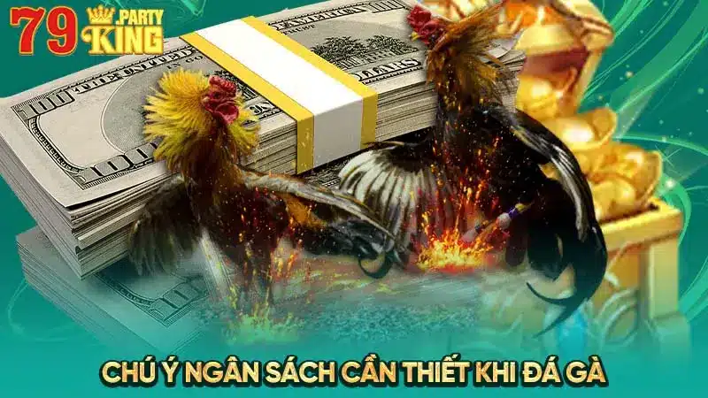 Chú ý ngân sách cần thiết khi đá gà