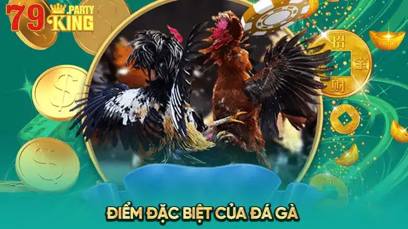 Điểm đặc biệt của đá gà